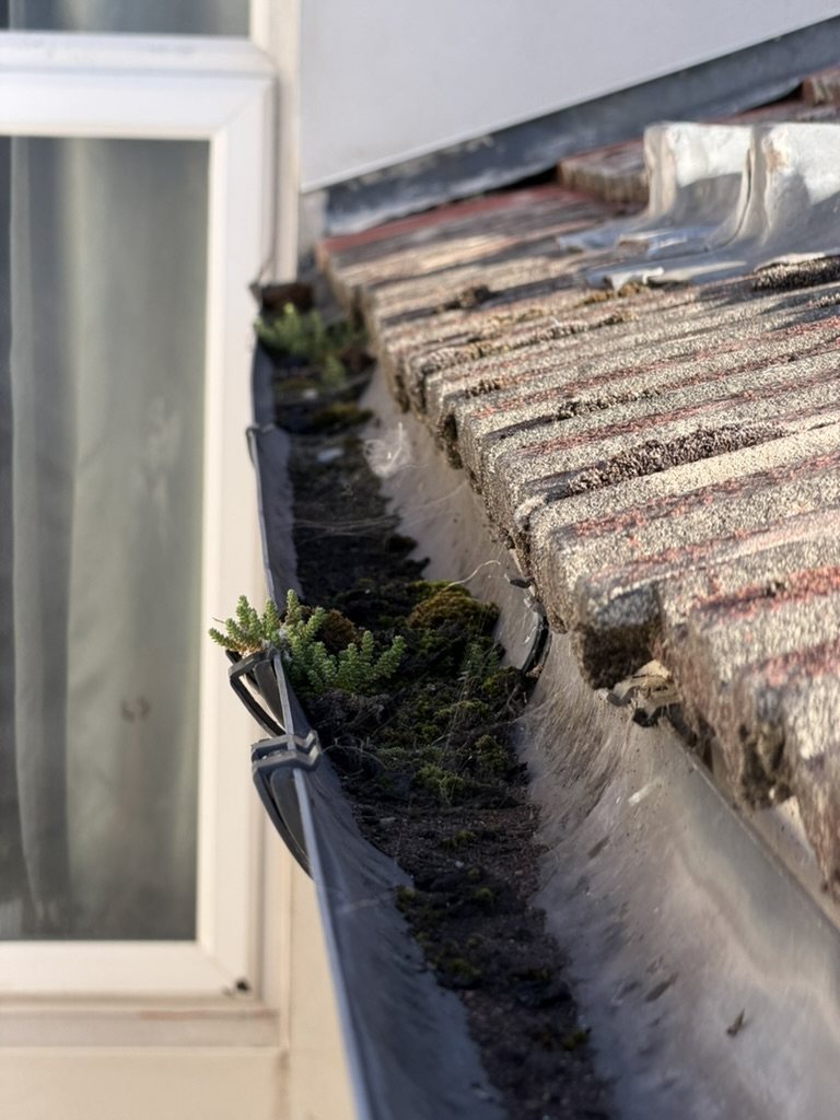 Blocked gutter identified during property maintenance work